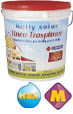 TRASPIMUR PAINT (con Preventol )
