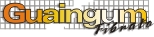 GUAINGUM FIBRATO